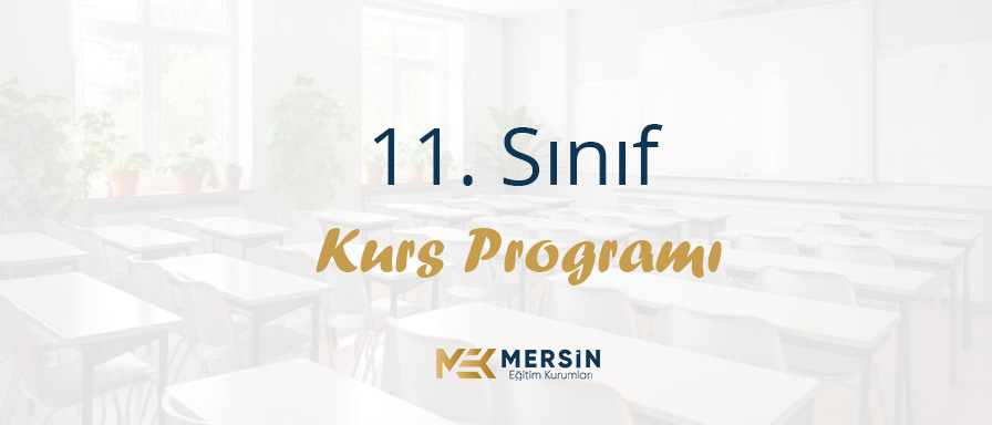11. Sınıf